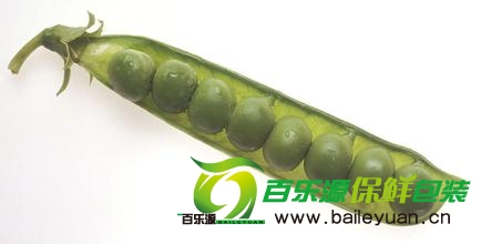 豆荚.jpg