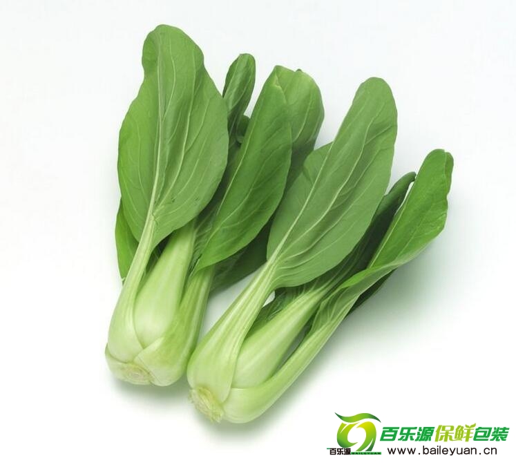 有人吃油菜过敏吗